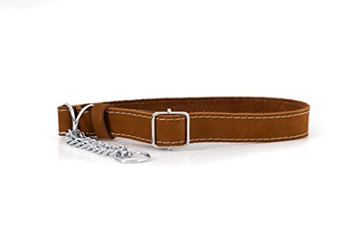  Euro-Dog Affordable European Luxury Soft Leather Martingale Dog Collar Made In USA