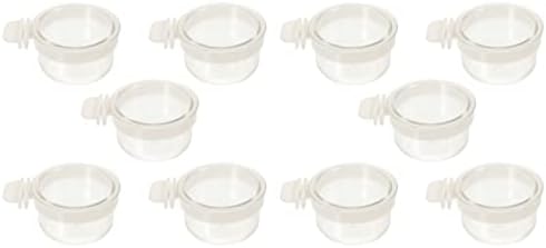  Ipetboom Food Containers Chicken Accessories 2pcs Bird Parrot Feeding Acrylic Parrot Feeder Parrot Food Container Bird Food Container Cups, 5PCS Parrot Hamster Accessories Chicken Feeder