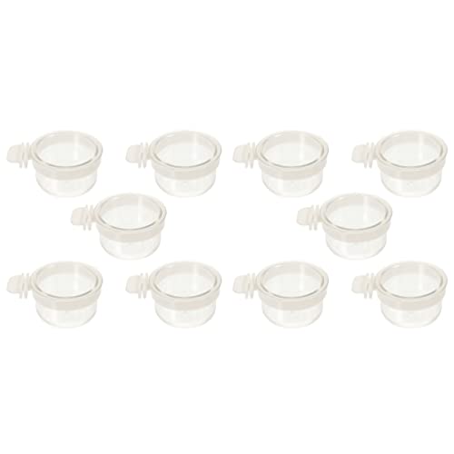  Ipetboom Food Containers Chicken Accessories 2pcs Bird Parrot Feeding Acrylic Parrot Feeder Parrot Food Container Bird Food Container Cups, 5PCS Parrot Hamster Accessories Chicken Feeder
