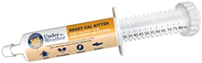  Under The Weather Pet | Ready Cal For Cats 100cc | High Calorie Supplement | Cat Weight Gainer And High Calorie Booster | 10 Vitamins, 7 Minerals & Omega Fatty Acids (for Cats 100cc)