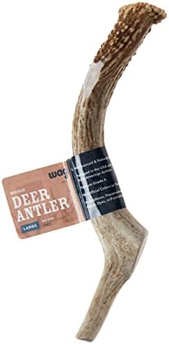  Amazon Brand - Wag Dog Elk Antler Chew, Naturally Shed, Whole, Medium 6-7.5 Inches (Best For Dogs 15-30 Lbs)