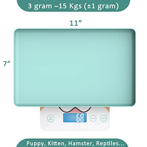 GENERIC Pet Weight Scale For Newborn Cats And Puppies, 33lbs With 1 Gram Accuracy, Designed For Pets Babies And Reptiles (Tiffany Blue)