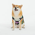  Cotton Pet Shirts Vegetables-Food-Doodle Puppy Costumes Dog Cat Pajamas Soft Dog Onesies Pet Jumpsuits 5X-Large