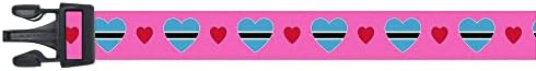  Dog Collar | I Love Botswana | Hearts | Great For National Holidays, Special Events, Festivals, Parades | Made In USA | XSmall Small Medium Large XLarge