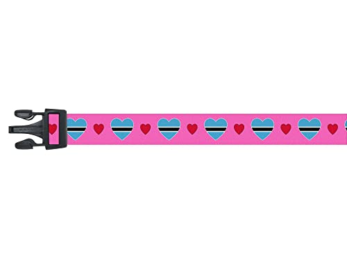  Dog Collar | I Love Botswana | Hearts | Great For National Holidays, Special Events, Festivals, Parades | Made In USA | XSmall Small Medium Large XLarge