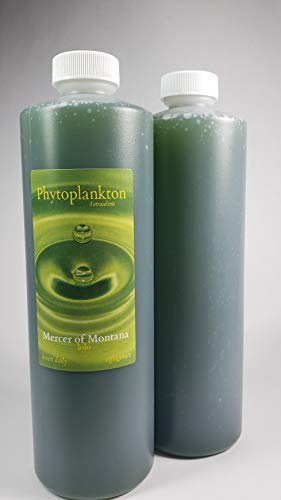  Live Marine Phytoplankton, Tetraselmis, (x2) 16oz. Bottles