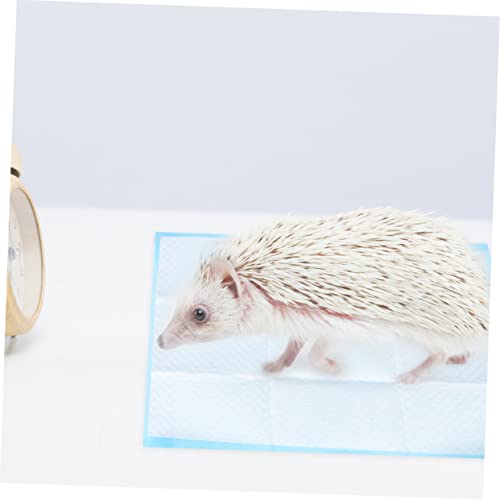  PATKAW 50pcs Chinchilla Bedding Guinea Pig Cages Indoor Disposable Underpads Cat Urine Pad Rabbit Potty Training Pads Dog Pads Extra Large Pet Supplies Bedpan Potty Pad Rabbit Cage Litter