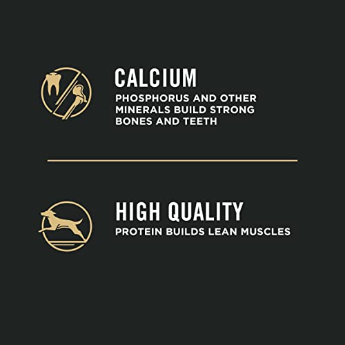  Purina Pro Plan High Protein Puppy Food Shredded Blend Chicken & Rice Formula - 6 Lb. Bag