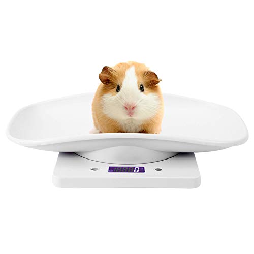 MOUMOUTEN 1G~10 Kg Digital Electronic Scale, ABS White Black Light Display Electronic Weight Scale Digital Scale For Puppy Cat Rabbit Tortoise Piglet Animals