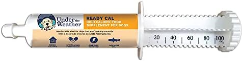  Under The Weather Pet | Ready Cal For Cats 100cc | High Calorie Supplement | Cat Weight Gainer And High Calorie Booster | 10 Vitamins, 7 Minerals & Omega Fatty Acids (for Cats 100cc)