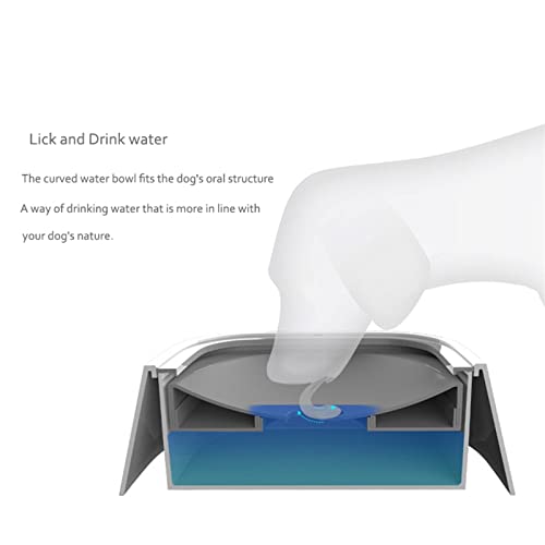  AYENCI Cat Automatic Water, Dog Drinking Bowls Floating Dog Anti-drip Drinker Automatic Feeder Portable Bottle Pet Water Dispenser Dogs Accessories (Color : Gray)