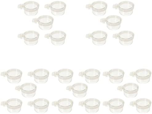  Ipetboom Food Containers Chicken Accessories 2pcs Bird Parrot Feeding Acrylic Parrot Feeder Parrot Food Container Bird Food Container Cups, 5PCS Parrot Hamster Accessories Chicken Feeder