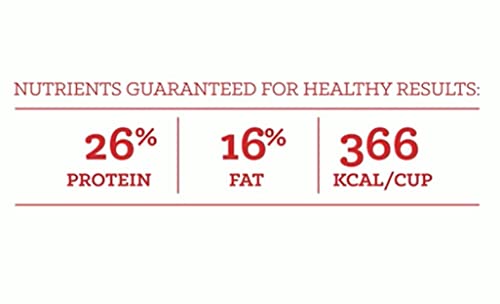  Loyall Life All Life Stages Chicken & Brown Rice Recipe Dog Food (20 Pounds)