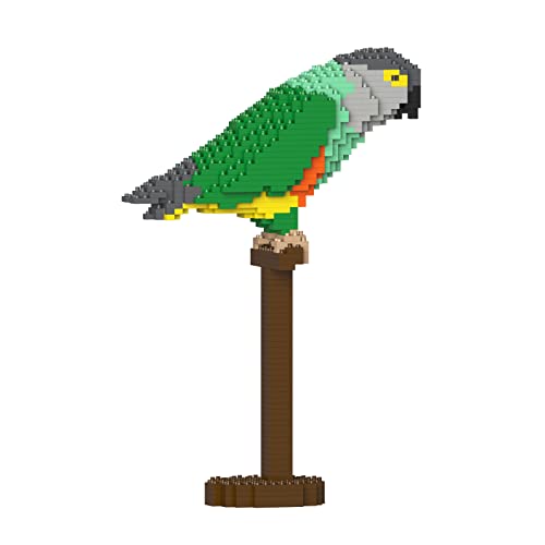  JEKCA Senegal Parrot 01S
