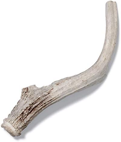  Antler Dog Chew From Pet Expertise, Gigantic 12-14" Long, 1 Piece