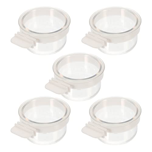  Ipetboom Food Containers Chicken Accessories 2pcs Bird Parrot Feeding Acrylic Parrot Feeder Parrot Food Container Bird Food Container Cups, 5PCS Parrot Hamster Accessories Chicken Feeder