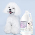  The Blissful Dog Razzle Dazzle White Shampoo, 1 Gallon