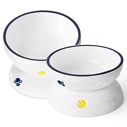  Hasense Tilted Cat Bowl Anti Vomiting, Double Raised Cat Bowls For Food And Water, Elevated Ceramic Small Dog Feeder, Protect Pet's Spine, Dishwasher Safe, Porcelain Slanted Dishes, White Set Of 2