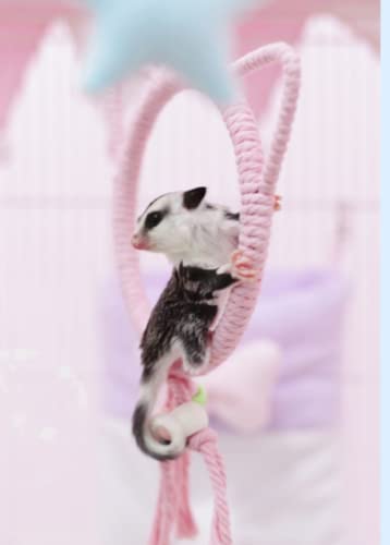  Sugar Glider Climb Swing Squirrel Hamster Sugar Glider Parrots Birds Rats Other Small Pets Supplies (Pink Bear)