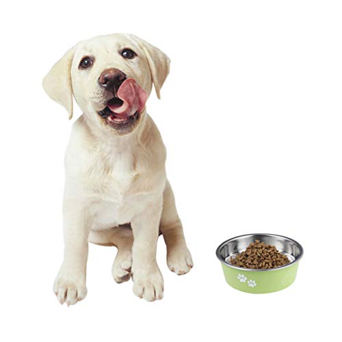  POPETPOP Dog Cat Feeding Dish Puppy Feeder Dog Food Bowl - Stainless Steel Bowl Feeding Bowl - Round Anti- Water&Food Dispencer For Puppy Cat And Kitten Puzzle Metal Dog Food Feeder