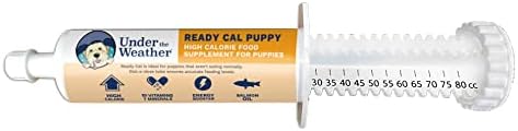  Under The Weather Pet | Ready Cal For Cats 100cc | High Calorie Supplement | Cat Weight Gainer And High Calorie Booster | 10 Vitamins, 7 Minerals & Omega Fatty Acids (for Cats 100cc)