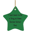 GENERIC Funny Gordon Setter Dog Star Ornament, I Just Want To Be A Stay At Home Gordon, Best Gifts For Pet Lovers,,, Pet Toys, Pet Treats, Pet Food, Pet Supplies, Pet Products