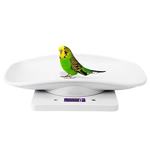  MOUMOUTEN 1G~10 Kg Digital Electronic Scale, ABS White Black Light Display Electronic Weight Scale Digital Scale For Puppy Cat Rabbit Tortoise Piglet Animals