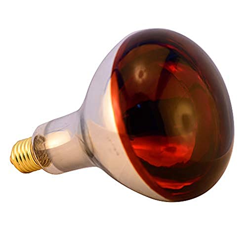  BONGBADA 6 Pack Heat Lamp Bulb R115 175 Watt Infrared Glass Lamp Bulb For Food Service, Brooder Bulb, Chicks, Pet, Bathroom, Light Therapy, Reptiles And Amphibian Use E26 Base