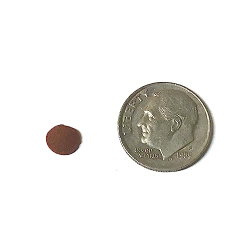  BIG KAHUNA TROPICAL FISH 8 Mm Red Sinking Wafer - Sinking Algae Wafers That Provides Balanced Diet For Plecos, Snails, Cory Cats, Catfish, Shrimp, And Crayfish (10 Pound)