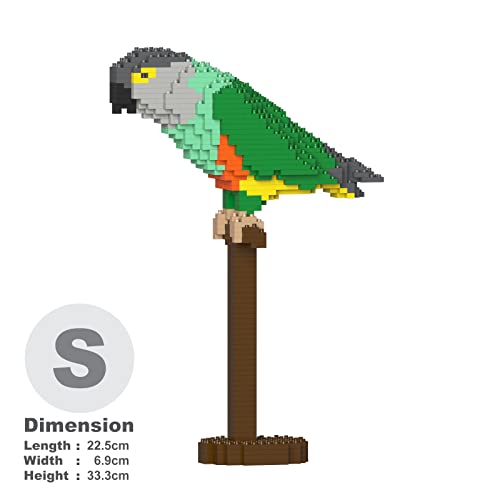  JEKCA Senegal Parrot 01S
