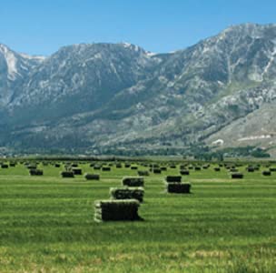  Blue Mountain High Altitude Timothy Hay (5 LB) Rabbits, Guinea Pigs | Bunny Rabbit, Hamster, Chinchilla & Gerbil Feed | Similar To Alfalfa Cubes, Orchard Grass Hay