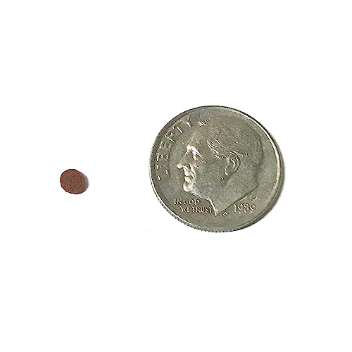  BIG KAHUNA TROPICAL FISH 3 Mm Red Sinking Wafer - Sinking Algae Wafers That Provides Balanced Diet For Plecos, Snails, Cory Cats, Catfish, Shrimp, And Crayfish (2 Pound)