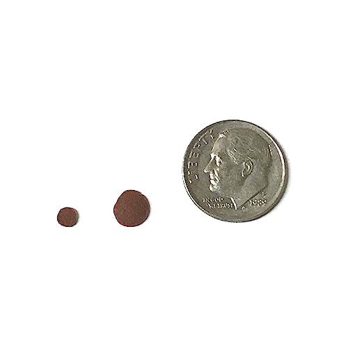  BIG KAHUNA TROPICAL FISH 8 Mm Red Sinking Wafer - Sinking Algae Wafers That Provides Balanced Diet For Plecos, Snails, Cory Cats, Catfish, Shrimp, And Crayfish (10 Pound)