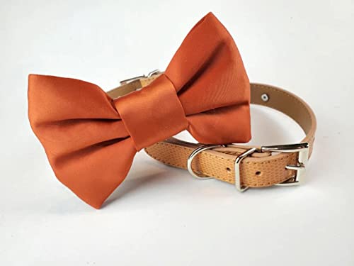  Burnt Orange Dog Bowtie Collar, Dog Wedding Collar, Terracotta Wedding Dog Collar, Formal Dog Collar, Wedding Apparel For Dogs, Dog Collars, Formal Dog Collars (Large: 13.5-16.5" Neck)