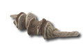  Top Dog Chews - Non GMO Sweet Potato Dog Chew - Product Of The USA (Small)