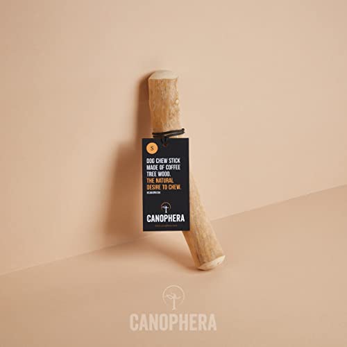  Canophera Coffee Wood Dog Chew Sticks For Regular Chewers - Size Small