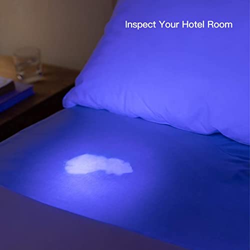  GRABOTE UV Flashlight 395nm LED Blacklight, 1 Switch Mode Lighting Effect Design Flashlights, 2 Pack Mini Flashlights Show Pets Urine Strains, Food Stains On Carpet Furniture Floor