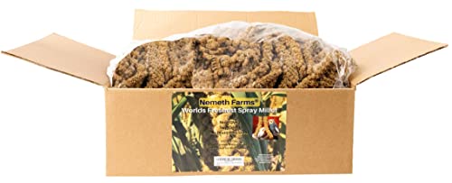  Nemeth Farms Worlds Freshest GMO-Free No Pesticide Sun Dried Spray Millet No Stems Only Edible Tops-Original Bird Treat And Supplement For Pet Birds Parakeets, Cockatiels, Lovebirds And Finches-5lbs