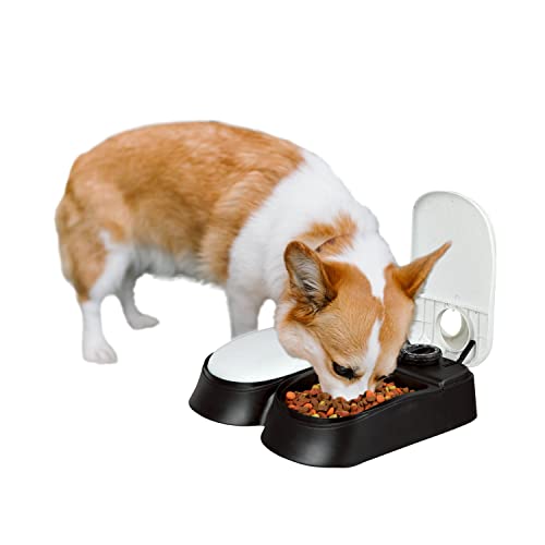  PAWISE Automatic Cat Feeders 2 Meal Automatic Dog Feeder,Dog/Cat Food Dispenser 1.5 Cups, Schedule Meal Or Treat, With 48-Hour Timer