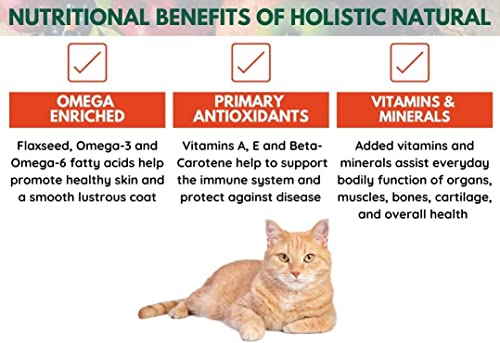  Bench & Field Holistic Natural Premium Adult Dry Cat Food, Chicken Meal And Brown Rice Recipe 3 Lb Bag (Pack Of 1)