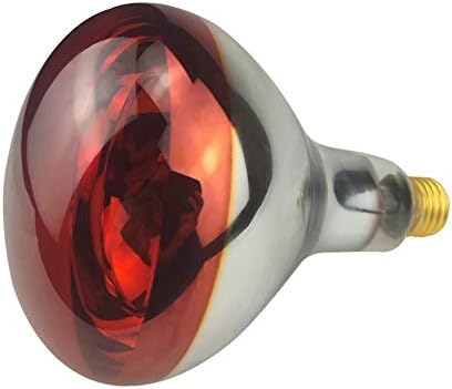  BONGBADA 6 Pack Heat Lamp Bulb R40 250 Watt Painted Red Infrared Glass Lamp Bulb For Food Service, Brooder Bulb, Chicks, Pet, Bathroom