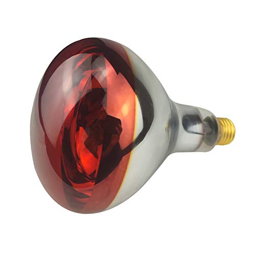  BONGBADA 6 Pack Heat Lamp Bulb R40 250 Watt Painted Red Infrared Glass Lamp Bulb For Food Service, Brooder Bulb, Chicks, Pet, Bathroom