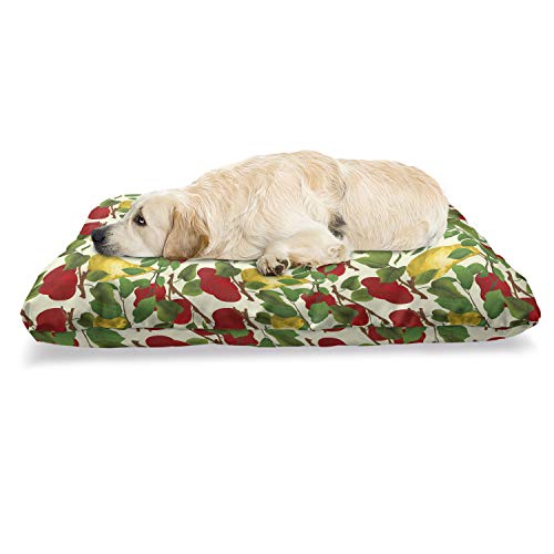  Lunarable Fruit Pet Bed, Repetitive Pattern Of Pear And Apple Branches With Leaves Blooming Organic Foods, Chew Resistant Pad For Dogs And Cats Cushion With Removable Cover, 24" X 39", Multicolor