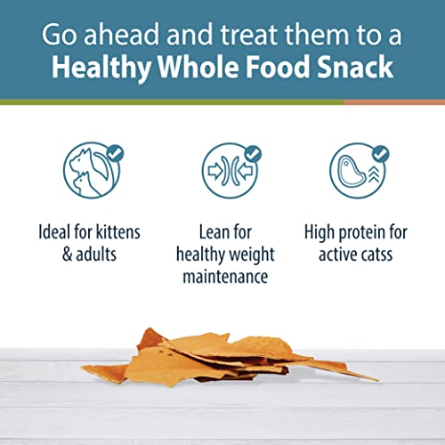 JustFoodForDogs JustFoodForCats Salmon Treats - Fresh Cat Treats 5 Oz - Whole Food Treat Snacks For Kittens & Cats - No Preservatives, No Hormones Added, Lean, Low Fat, USA Made - BPA - Free Packaging