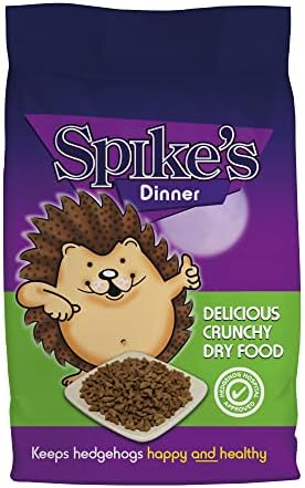  Spikes Delicious Dry 2.5 Kg