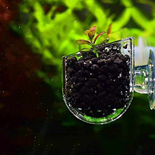  ESAAH Fish Feeding Cup, Aquarium Red Worm Fish Feeder Transparent Cup Fish Food Container For Feeding Shrimp Fish