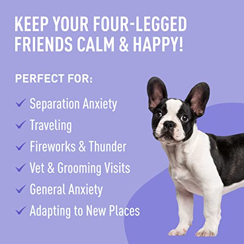  Nature's Synergy Melatonin And Hemp Oil For Dogs, Cats & Pets, Calming Sleep Support, Omega Fatty Acids For Hip And Joint Support, Skin And Coat Health, Stress From Travel, Separation, 2 Pack, 1 Oz