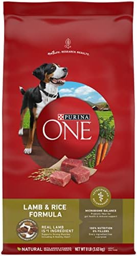  Purina ONE Dry Dog Food Lamb And Rice Formula - 31.1 Lb. Bag