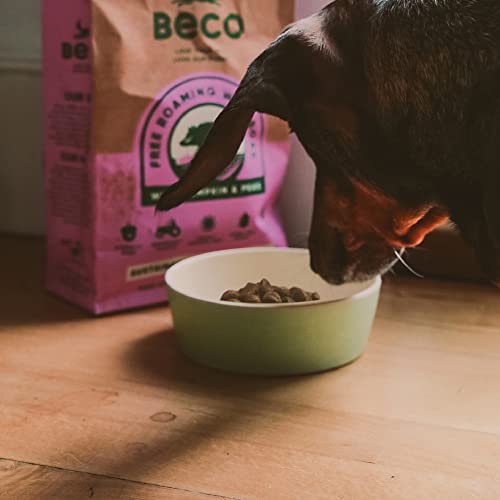 Beco Classic Printed Design Bamboo Dog Food & Water Bowl, Nature Inspired Fresh Mint, Small