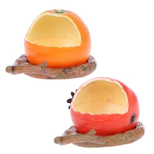  GVRPV Cat BowlCat BowlFruit Shape Bowl Bird Feeder Drinker Water Food Dispenser Container Pet Supplies Bird Feeder Pet Accessories-2
